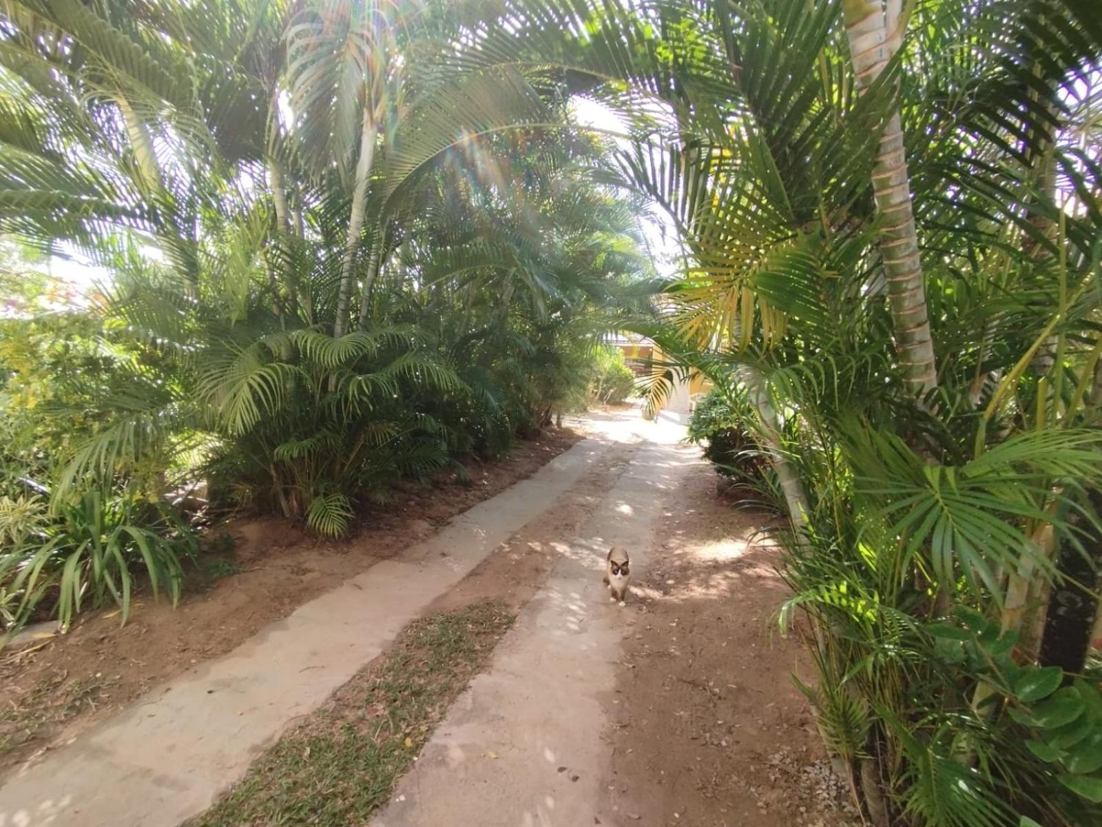 Lumiar Garden Suites E Chales Em Vilas Do Atlantico Лауро де Фрейтас Екстериор снимка